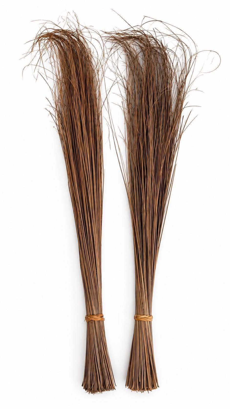 BROOM STICK ( WALIS TING TING )