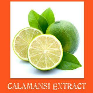MAGGI SAVOR CALAMANSI