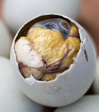 Load image into Gallery viewer, BALUT INCUBATED DUCK EGGS 6 PCS
